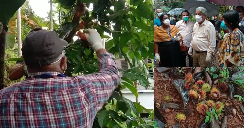 നിപ മരണം: കുട്ടി റമ്പുട്ടാന്‍ പഴം കഴിച്ചിരുന്നു; കേന്ദ്ര സംഘം സ്ഥലം സന്ദർശിച്ചു,  സാമ്പിളുകള്‍ ശേഖരിച്ചു
