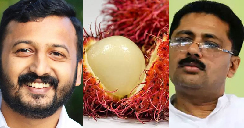 'ജലീലിന് റമ്പൂട്ടാന്‍റെ ഗതി ; എല്ലാവരും കൈയ്യൊഴിഞ്ഞു, മാര്‍ക്കറ്റും ഇല്ല'; പരിഹസിച്ച് രാഹുല്‍ മാങ്കൂട്ടത്തില്‍