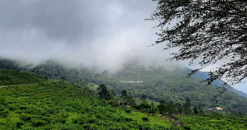 മഞ്ഞിന്‍ പുതപ്പണിഞ്ഞ പൊൻമുടിപ്പെണ്ണിനെ കാണാനൊരു യാത്ര...