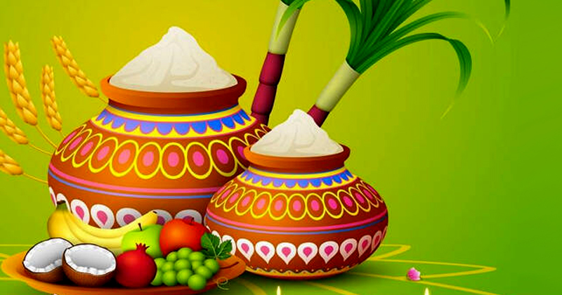 തൈപ്പൊങ്കൽ: സംസ്ഥാനത്തെ 6 ജില്ലകൾക്ക് നാളെ പ്രാദേശിക അവധി