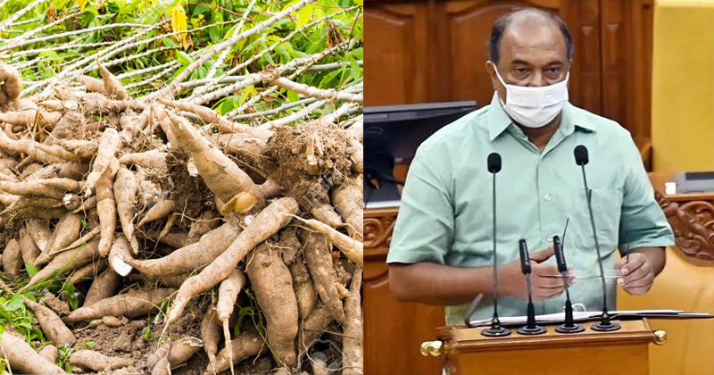 സംസ്ഥാനത്തിന് ഇനി 'കെ മദ്യവും' : മരച്ചീനിയില്‍ നിന്ന് മദ്യം ഉല്‍പാദിപ്പിക്കാന്‍ ബജറ്റില്‍ 2 കോടി : മദ്യ വർജനത്തിലെ പൊള്ളത്തരം