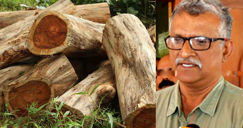 മുട്ടില്‍ മരം മുറി: ആരോപണ വിധേയനായ എൻ.ടി സാജന്‍റെ ഉന്നത നിയമനത്തിന് സ്റ്റേ