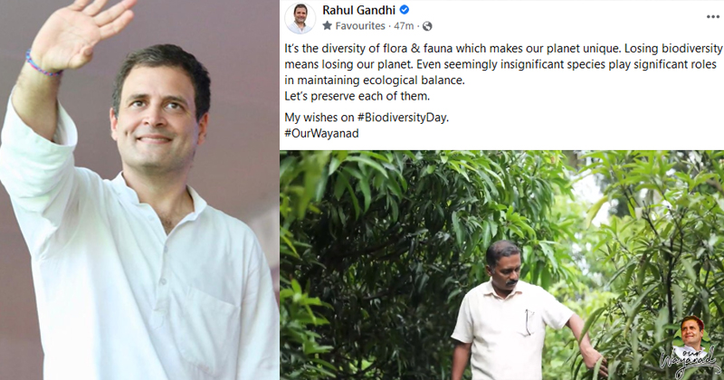 ജൈവ വൈവിധ്യ ദിനത്തിൽ വയനാട്ടിലെ കർഷകന്‍റെ വീഡിയോ പങ്കുവെച്ച് രാഹുല്‍ ഗാന്ധി