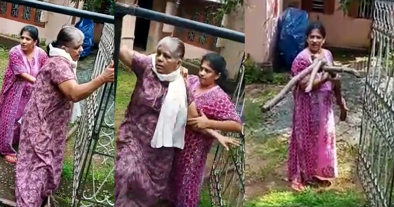 മകള്‍ അമ്മയെ മർദ്ദിച്ച സംഭവം; മനുഷ്യാവകാശ കമ്മീഷന്‍ കേസെടുത്തു