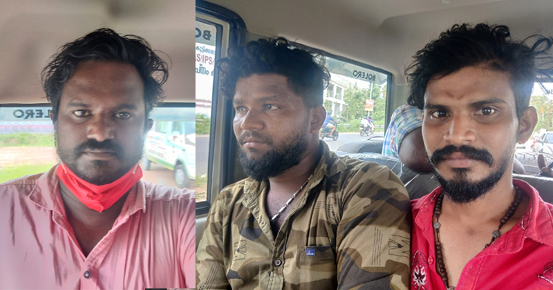 കൊല്ലത്ത് ആരോഗ്യപ്രവർത്തകരെ ആക്രമിച്ച സംഭവം: പ്രതികള്‍ അറസ്റ്റില്‍