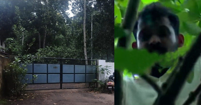 ജയില്‍ചാട്ട ശ്രമത്തിനിടെ മരത്തില്‍ കയറി ജീവപര്യന്തം തടവുപുള്ളി; 'വലവിരിച്ച്' പോലീസ്; കമ്പൊടിഞ്ഞ് വലയില്‍