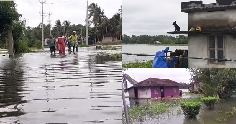 കനത്ത മഴ, പ്രളയഭീതിയില്‍ പത്തനംതിട്ട: നദികളിലെ ജലനിരപ്പ് അപകടകരമായി ഉയരുന്നു; കർശന ജാഗ്രതാ നിർദേശം