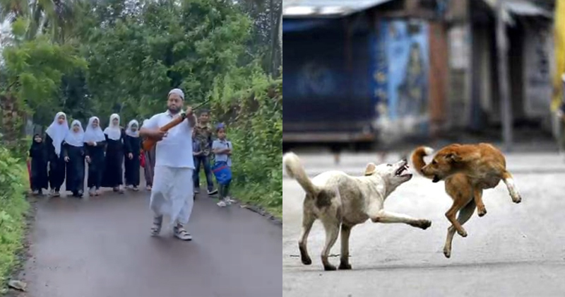 പട്ടി കടിക്കാതിരിക്കാന്‍ കുട്ടികള്‍ക്ക് തോക്കുമായി കൂട്ടുപോയി; രക്ഷിതാവിനെതിരെ കേസ് | VIDEO