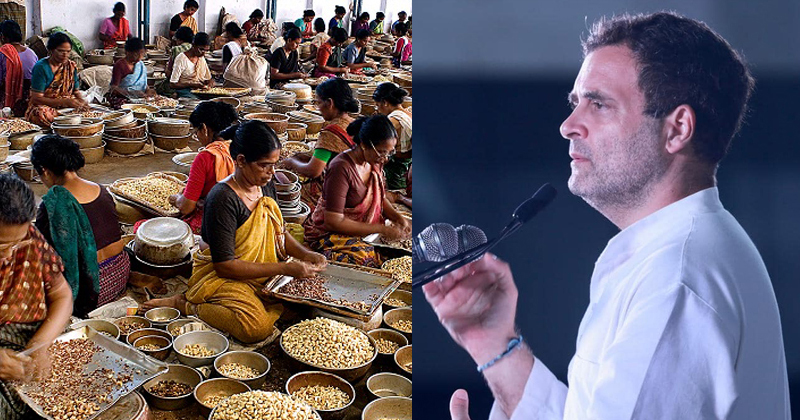 കശുവണ്ടി മേഖല നേരിടുന്നത് ഗുരുതര പ്രതിസന്ധി; തൊഴിലാളികളുടെ ആവശ്യങ്ങള്‍ പാർലമെന്‍റില്‍ ഉന്നയിക്കുമെന്ന് രാഹുല്‍ ഗാന്ധി