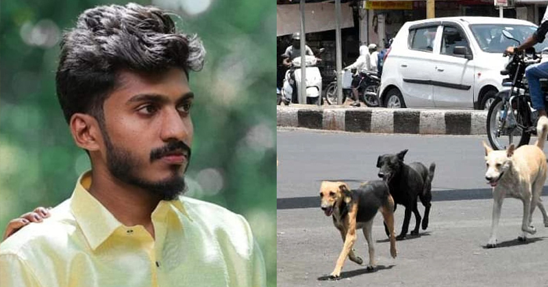 തിരുവനന്തപുരത്ത് നായ ബൈക്കിന് കുറുകെ ചാടി അപകടം; ചികിത്സയിലായിരുന്ന യുവാവ് മരിച്ചു