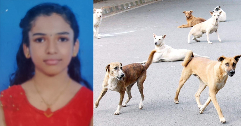 പത്തനംതിട്ടയില്‍ തെരുവ് നായയുടെ കടിയേറ്റ് ചികിത്സയിലായിരുന്ന കുട്ടി മരിച്ചു