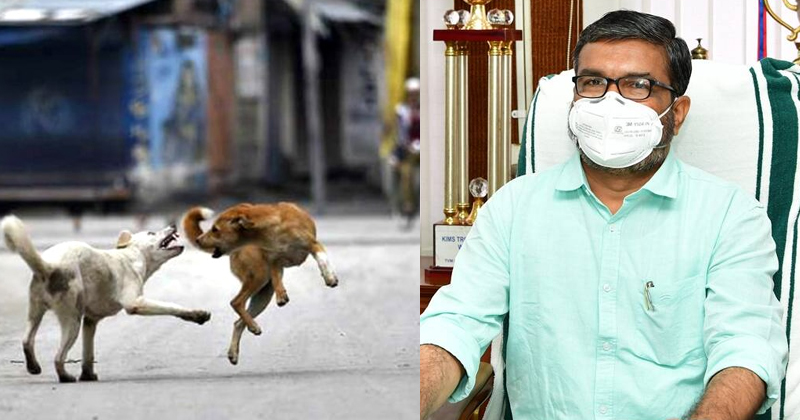 സംസ്ഥാനത്തെ തെരുവ് നായ ശല്യം; ഉന്നതതല യോഗം വിളിച്ച് മന്ത്രി എം.ബി രാജേഷ്