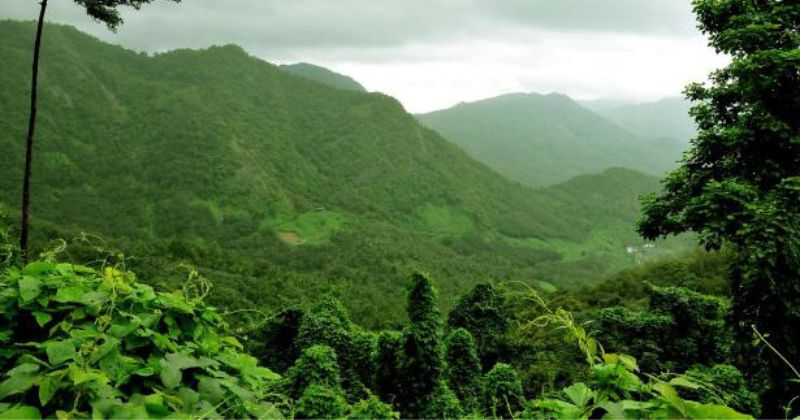 കസ്തൂരിരംഗൻ– ഇഎസ്ഐ വിജ്ഞാപനം മലയാളത്തിൽ പ്രസിദ്ധീകരിക്കണം; സംസ്ഥാന സർക്കാരിനെതിരെ ഹൈക്കോടതിയിൽ ഹർജി