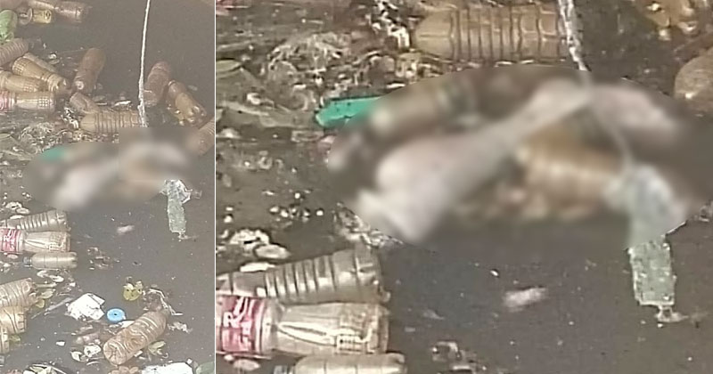 മുട്ടത്തറയില്‍ കണ്ടെടുത്ത കാലുകള്‍ കന്യാകുമാരിയിലെ ഗുണ്ടാനേതാവിന്‍റേത് തന്നെ; സ്ഥിരീകരിച്ച് പരിശോധനാഫലം