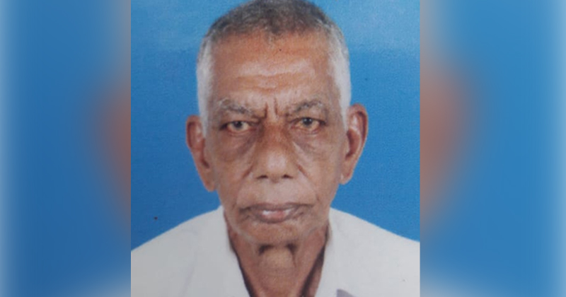 കടന്നല്‍ കുത്തേറ്റ് വയോധികന് ദാരുണാന്ത്യം; സംഭവം കണ്ണൂർ കല്യാശേരിയില്‍