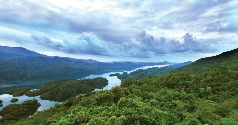 കേരളത്തിലേക്ക് കടന്ന് ബഫർ സോണ്‍ അടയാളപ്പെടുത്തി കർണാടക; പ്രതിഷേധവുമായി യൂത്ത് കോണ്‍ഗ്രസ്