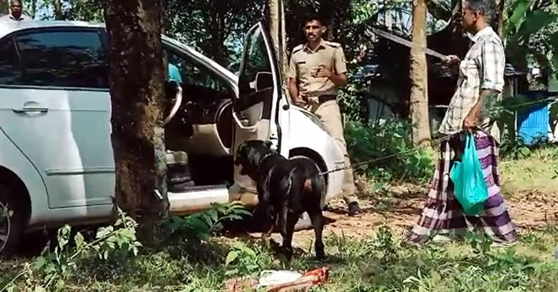വടിവാളുമായി അക്രമം, കടിച്ചുകീറാന്‍ നായ; ഭീകരാന്തരീക്ഷം സൃഷ്ടിച്ചയാളെ പോലീസ് വീട്ടില്‍ കയറി പിടികൂടി