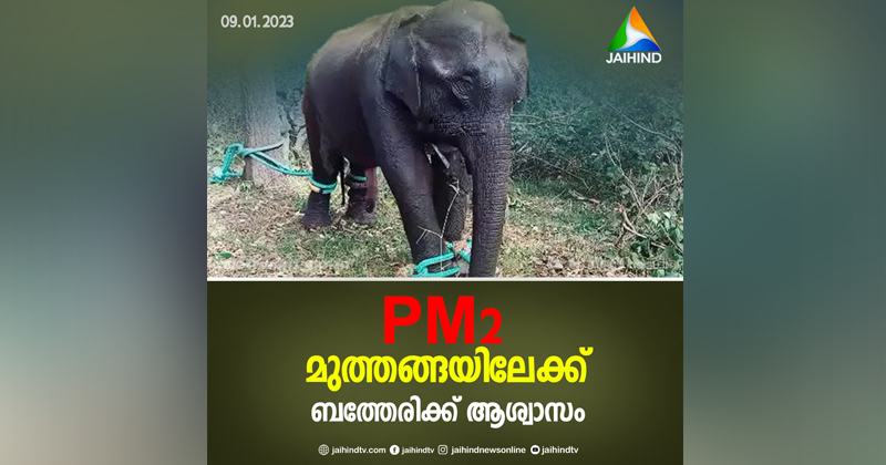 പിഎം2 മുത്തങ്ങയിലേക്ക്;  ആശ്വാസത്തില്‍ ബത്തേരിക്കാര്‍