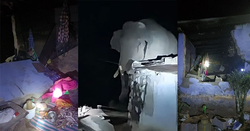 ഇടുക്കിയില്‍ വീണ്ടും അരിക്കൊമ്പന്‍റെ ആക്രമണം; കാട്ടാന തകര്‍ത്തത് അതിഥി തൊഴിലാളികൾ താമസിച്ചിരുന്ന വീട്