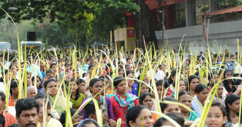 ഓശാന ഞായർ ആചരിച്ച് ക്രൈസ്തവർ; വിശുദ്ധ വാരാചരണത്തിന് തുടക്കം