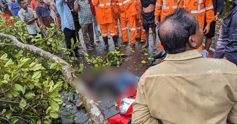 അടൂരിൽ കാറ്റിലും മഴയിലും വ്യാപക നാശനഷ്ടം; മരം ഒടിഞ്ഞുവീണ് സ്കൂട്ടർ യാത്രികന് ദാരുണാന്ത്യം