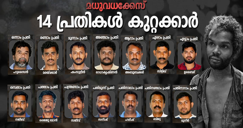 മധു വധക്കേസ്; 14 പ്രതികള്‍ കുറ്റക്കാര്‍, രണ്ട് പേരെ വെറുതെ വിട്ടു; ശിക്ഷാവിധി നാളെ
