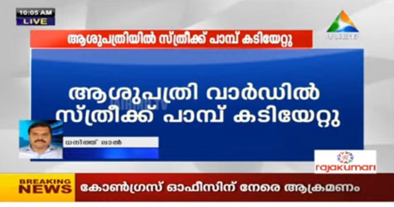 തളിപ്പറമ്പ് താലൂക്ക് ആശുപത്രിയില്‍ പേ വാര്‍ഡില്‍ അണലി;  രോഗിക്ക് കൂട്ടിരിക്കാനെത്തിയ സ്ത്രീയെ കടിച്ചു