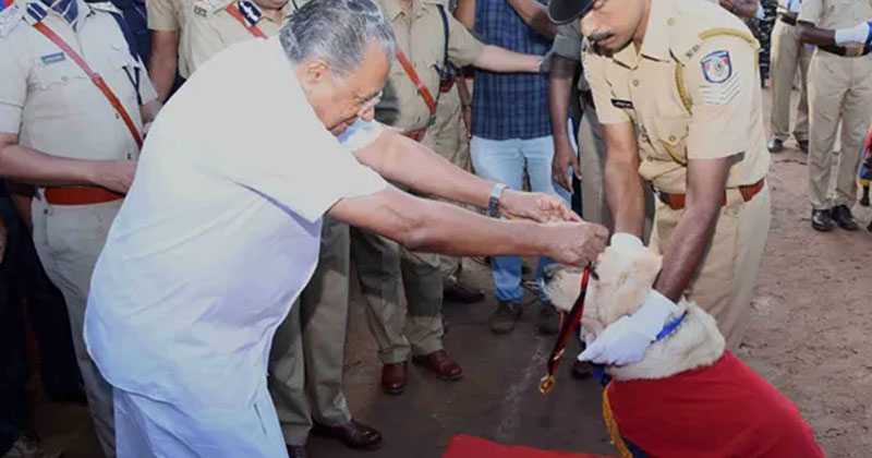 K- പട്ടിയിലും അഴിമതി; കേരള പോലീസിലെ നായ്ക്കളെ വാങ്ങിയതിലും മരുന്ന്, ഭക്ഷണം എന്നിവ വാങ്ങിയതിലും ക്രമക്കേട്; നോഡല്‍ ഓഫീസീർ സസ്പെന്‍ഷനില്‍