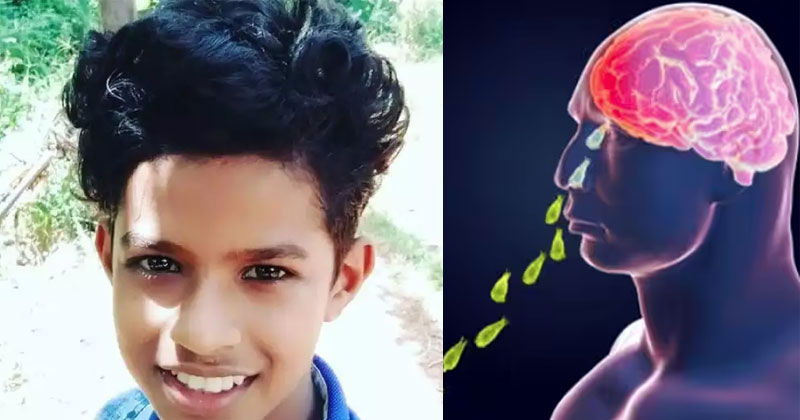 തോട്ടിലെ വെള്ളത്തില്‍ കുളിച്ചപ്പോള്‍ മൂക്കിലൂടെ തലച്ചോറില്‍; തലച്ചോര്‍ കാര്‍ന്ന് തിന്നുന്ന അമീബിയാല്‍ പത്താം ക്ലാസ് വിദ്യാര്‍ത്ഥി മരിച്ചു
