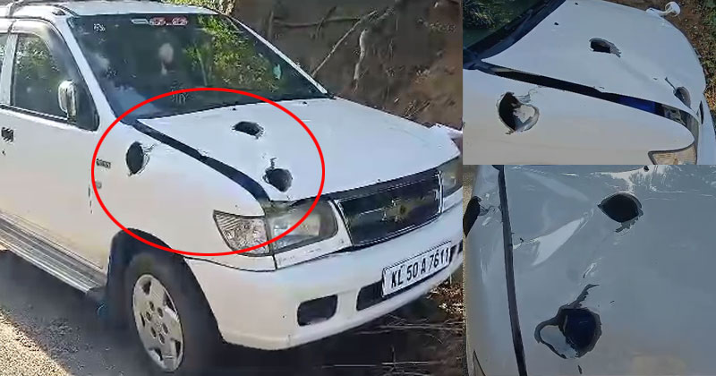 പാഞ്ഞെത്തി കാട്ടാന, വാഹനം കുത്തിത്തകർത്ത് പരാക്രമം; മരണത്തെ മുഖാമുഖം കണ്ട് കാറിനുള്ളില്‍ ആറംഗ കുടുംബം