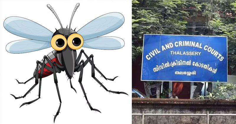 കോടതി അടപ്പിച്ചത് കൊതുക്! തലശേരി കോടതി ജീവനക്കാർക്കിടയിലെ അസുഖബാധ സിക വൈറസ് എന്ന് സ്ഥിരീകരിച്ചു