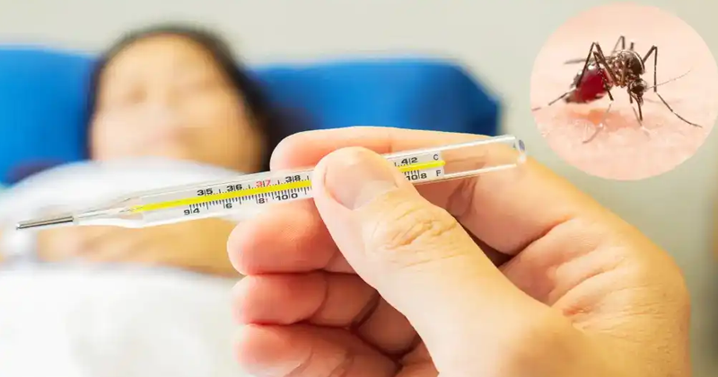എറണാകുളത്ത് എലിപ്പനിയും പകര്‍ച്ചവ്യാധികളും വ്യാപകം; ഒരാഴ്ചയ്ക്കിടെ ഡെങ്കിപ്പനി സ്ഥിരീകരിച്ചത് 387 പേര്‍ക്ക്