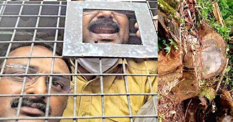 മുട്ടില്‍ മരംമുറി കേസ്; അഗസ്റ്റിന്‍ സഹോദരന്മാരടക്കം 12 പ്രതികള്‍, കുറ്റപത്രം സമര്‍പ്പിച്ചു