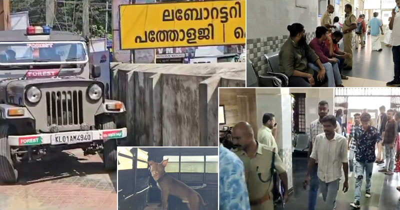 മാമലക്കണ്ടം കുറത്തിക്കുടി മാങ്കുളം റോഡിലൂടെ നായയുമായി യുവാക്കളുടെ യാത്ര; കേസെടുത്ത് വനം വകുപ്പ്