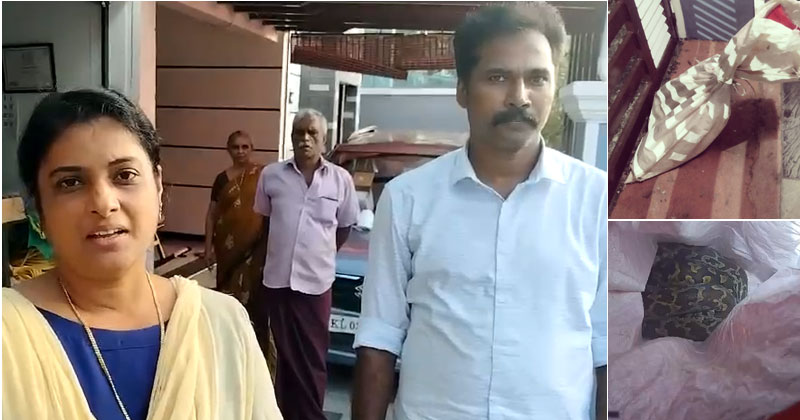 പഞ്ചായത്തംഗത്തിന്‍റെ വീട്ടുമുറ്റത്തേക്ക് പെരുമ്പാമ്പിനെ ചാക്കില്‍ കെട്ടി എറിഞ്ഞു; കേസെടുത്ത് പോലീസ്