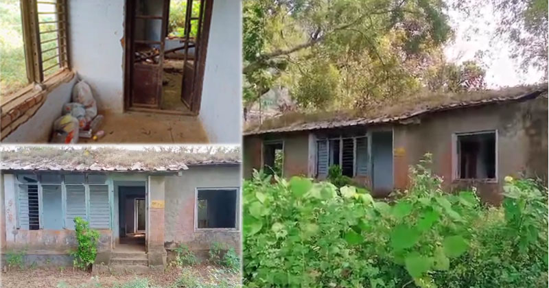 വെള്ളത്തൂവലിലെ കെഎസ്ഇബി ക്വാർട്ടേഴ്സുകളില്‍ സ്വകാര്യവ്യക്തിയുടെ പശുവളർത്തല്‍: കട്ടിള മോഷ്ടാക്കളും വിലസുന്നു; നഷ്ടമാകുന്നത് ലക്ഷങ്ങള്‍