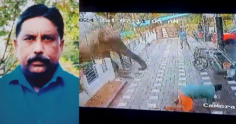 വയനാട്ടില്‍ വീടിന്‍റെ മതില്‍ പൊളിച്ചെത്തി കാട്ടാനയുടെ ആക്രമണം; യുവാവിനെ ചവിട്ടിക്കൊന്നു