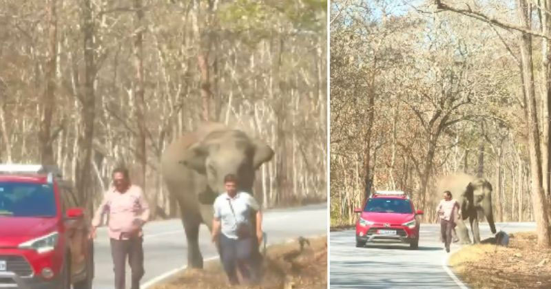വയനാട് മുത്തങ്ങയില്‍ കാട്ടാന ആക്രമണം; സഞ്ചാരികൾ തലനാരിഴക്ക് രക്ഷപ്പെട്ടു, ആക്രമണം ഫോട്ടായെടുക്കാന്‍ നോക്കിയവർക്കു നേരെ