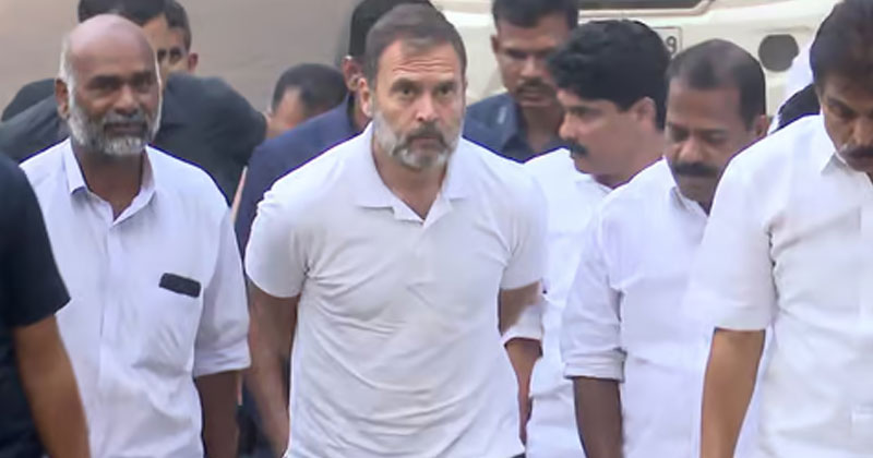 രാഹുൽ ഗാന്ധി വയനാട്ടില്‍; വന്യമൃഗ ആക്രമണത്തിൽ കൊല്ലപ്പെട്ടവരുടെ വീട് സന്ദർശിച്ചു