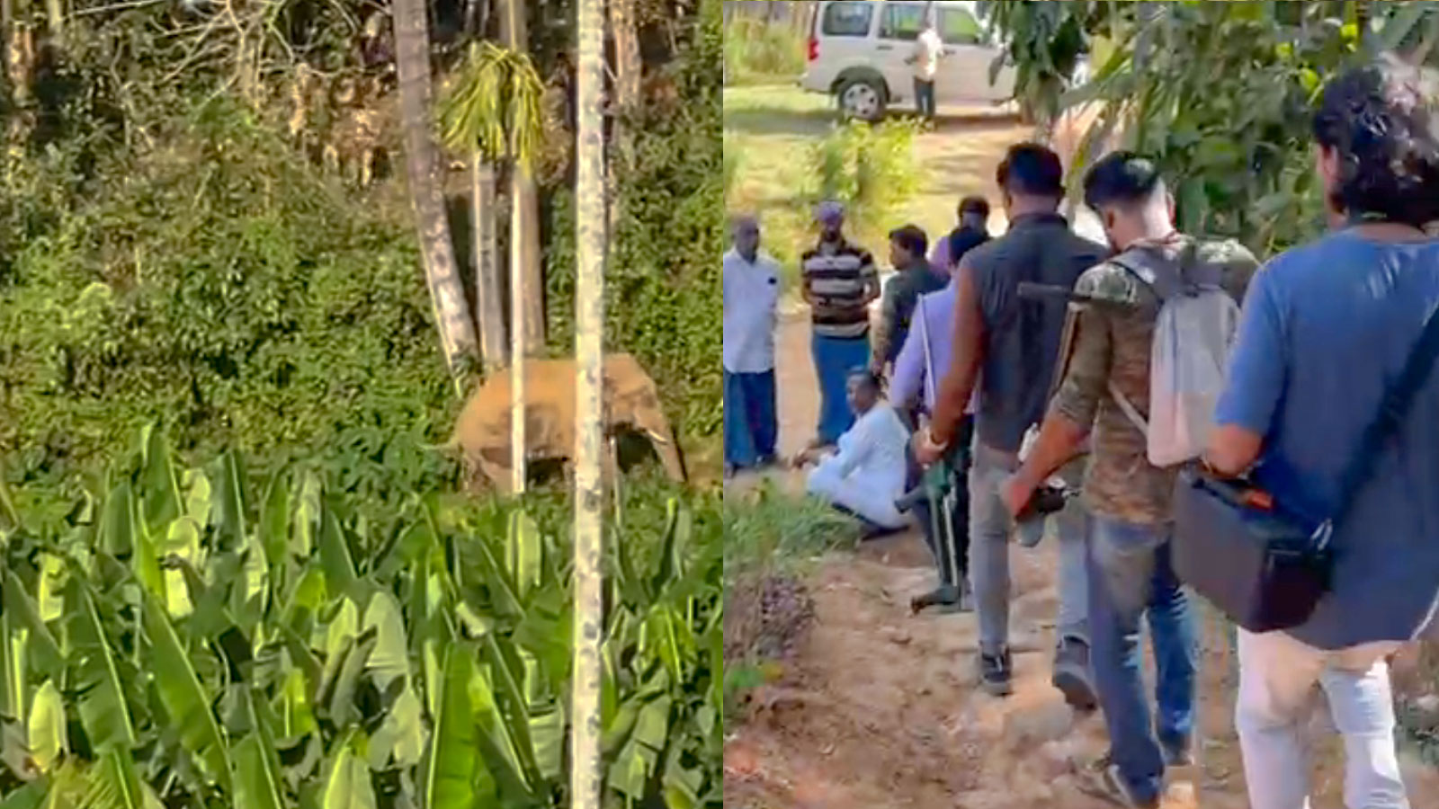 തണ്ണീർ കൊമ്പൻ ചരിഞ്ഞ സംഭവം; വനം വകുപ്പിനെതിരെ ശക്തമായ വിമർശനം, പരാതി നൽകി എലിഫന്‍റ് ല്ലവേഴ്സ് ഫോറം
