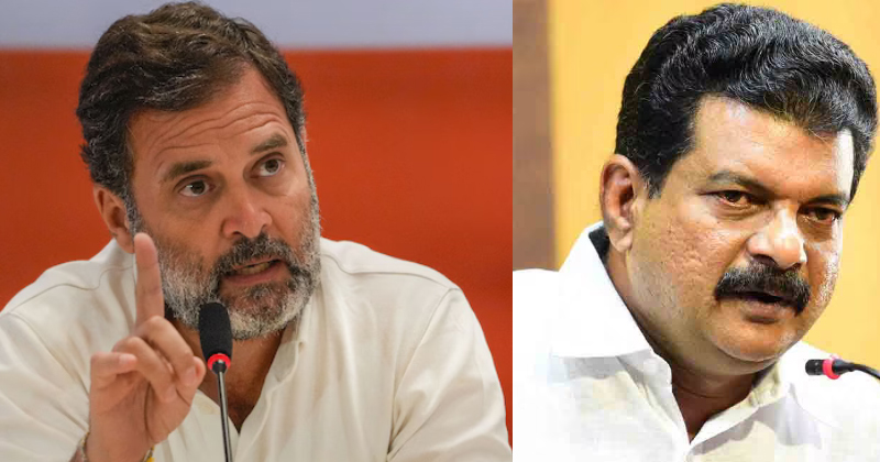 രാഹുൽ ഗാന്ധിക്കെതിരായ അധിക്ഷേപ പരാമർശം; പി വി അൻവറിനെതിരെ കേസെടുത്ത് പോലീസ്