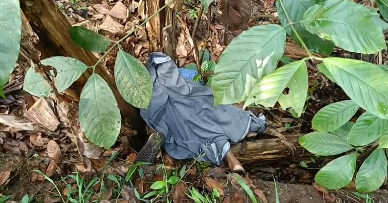 കുമളി നാലാം മൈൽ പാലത്തിന് സമീപം പുരുഷന്‍റെ മൃതദേഹം; അന്വേഷണം