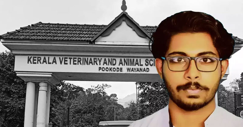 സിദ്ധാർത്ഥന്‍റെ മരണം; 19 പ്രതികള്‍ക്കും ജാമ്യം അനുവദിച്ച് ഹൈക്കോടതി