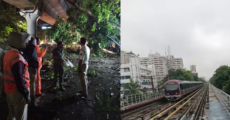 കനത്ത മഴ;  ബംഗളുരു മെട്രോ ട്രാക്കിൽ മരം വീണ് സർവീസുകൾ തടസ്സപ്പെട്ടു