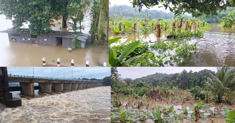 സംസ്ഥാനത്ത് കനത്ത മഴ തുടരുന്നു: കോഴിക്കോട്, കോട്ടയം ജില്ലകളില്‍ താഴ്ന്ന പ്രദേശങ്ങളിൽ വെള്ളം കയറി, വ്യാപക കൃഷിനാശം
