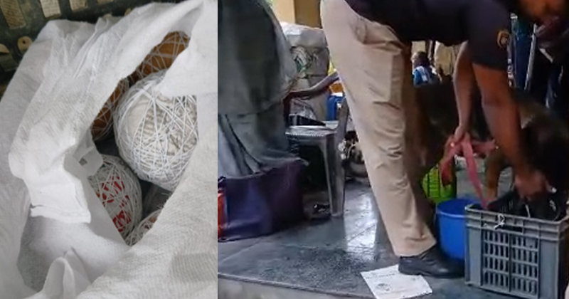 തിരുവനന്തപുരം കുളത്തൂർ മാർക്കറ്റിൽ നാടൻ ബോംബുകൾ കണ്ടെത്തി; പോലീസ് അന്വേഷണം ഊര്‍ജ്ജിതം, ഭീതിയില്‍ ജനങ്ങള്‍