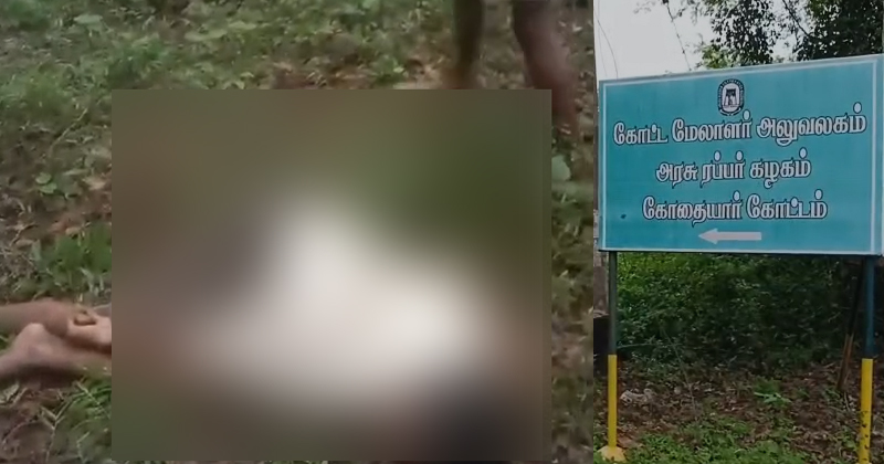 തോട്ടം തൊഴിലാളിയെ ആന ചവിട്ടിക്കൊന്നു; സംഭവം കന്യാകുമാരി മൈലാറിൽ