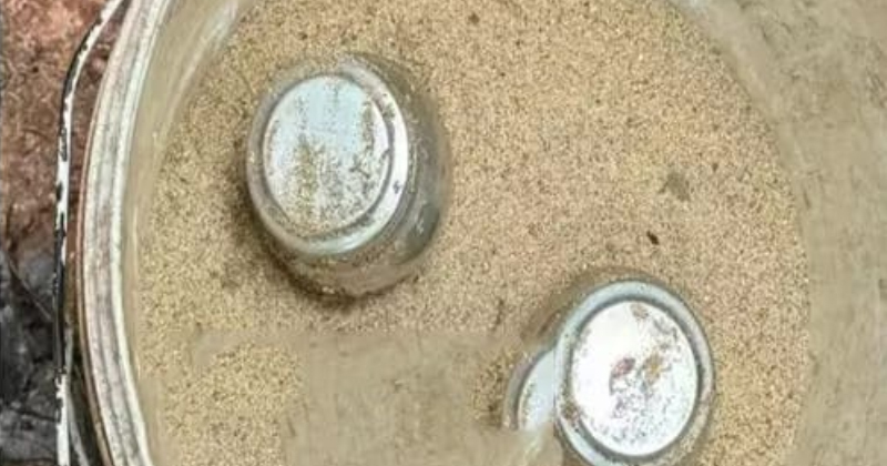 കണ്ണൂരില്‍ വീണ്ടും ബോംബ്; തലശ്ശേരിയിൽ നിന്ന് രണ്ട് സ്റ്റീൽ ബോംബുകൾ കണ്ടെത്തി