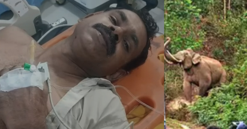 വയനാട്ടില്‍ കാട്ടാനയുടെ ആക്രമണത്തിൽ ഓട്ടോ ഡ്രൈവർക്ക് പരിക്ക്