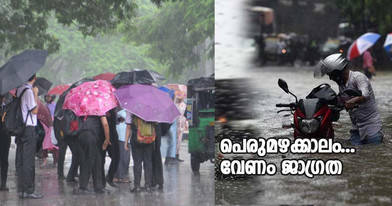 കനത്ത മഴ: പ്രൊഫഷണൽ കോളേജുകൾ അടക്കമുള്ള വിദ്യാഭ്യാസ സ്ഥാപനങ്ങൾക്ക് അവധി പ്രഖ്യാപിച്ച് കോട്ടയം കളക്ടർ